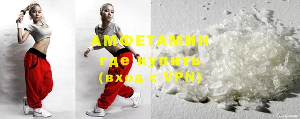 прущие грибы Заводоуковск