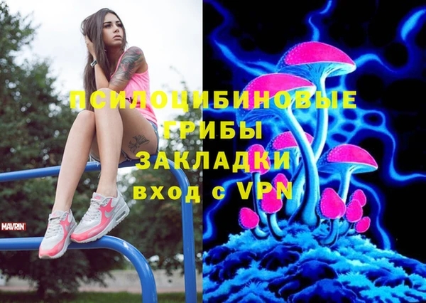 сатива Заволжск