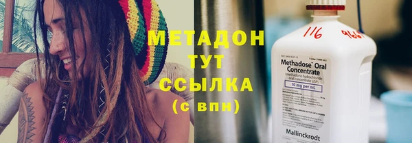 прущие грибы Заводоуковск