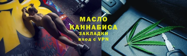 прущие грибы Заводоуковск
