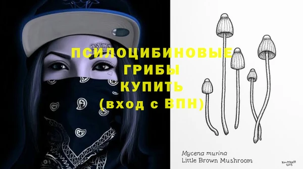 PSILOCYBIN Зеленодольск