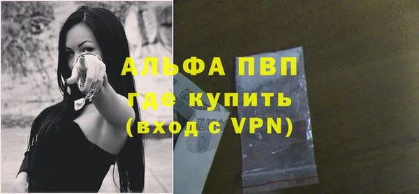 прущие грибы Заводоуковск
