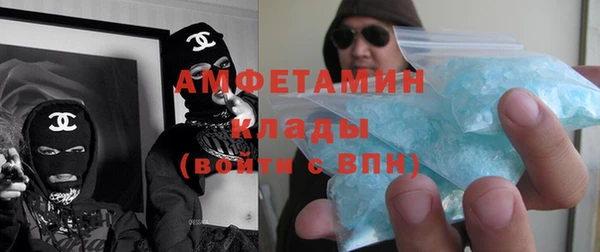 прущие грибы Заводоуковск