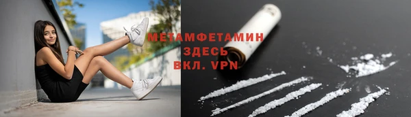 сатива Заволжск