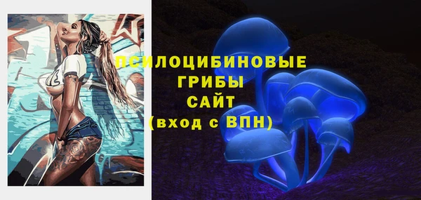 прущие грибы Заводоуковск