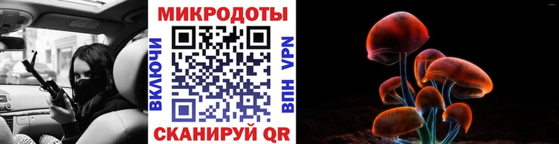 Купить где  Данилов  Псилоцибиновые грибы мухоморы 